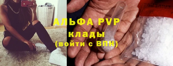 спайс Пересвет