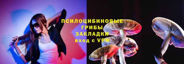 Альфа ПВП Богородск