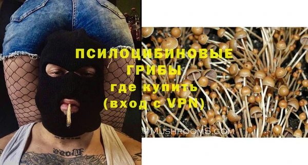 альфа пвп Богородицк