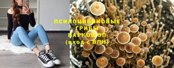 альфа пвп Богородицк